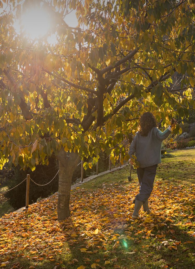 Antonella Beggiato - Coaching per famiglie e adolescenti