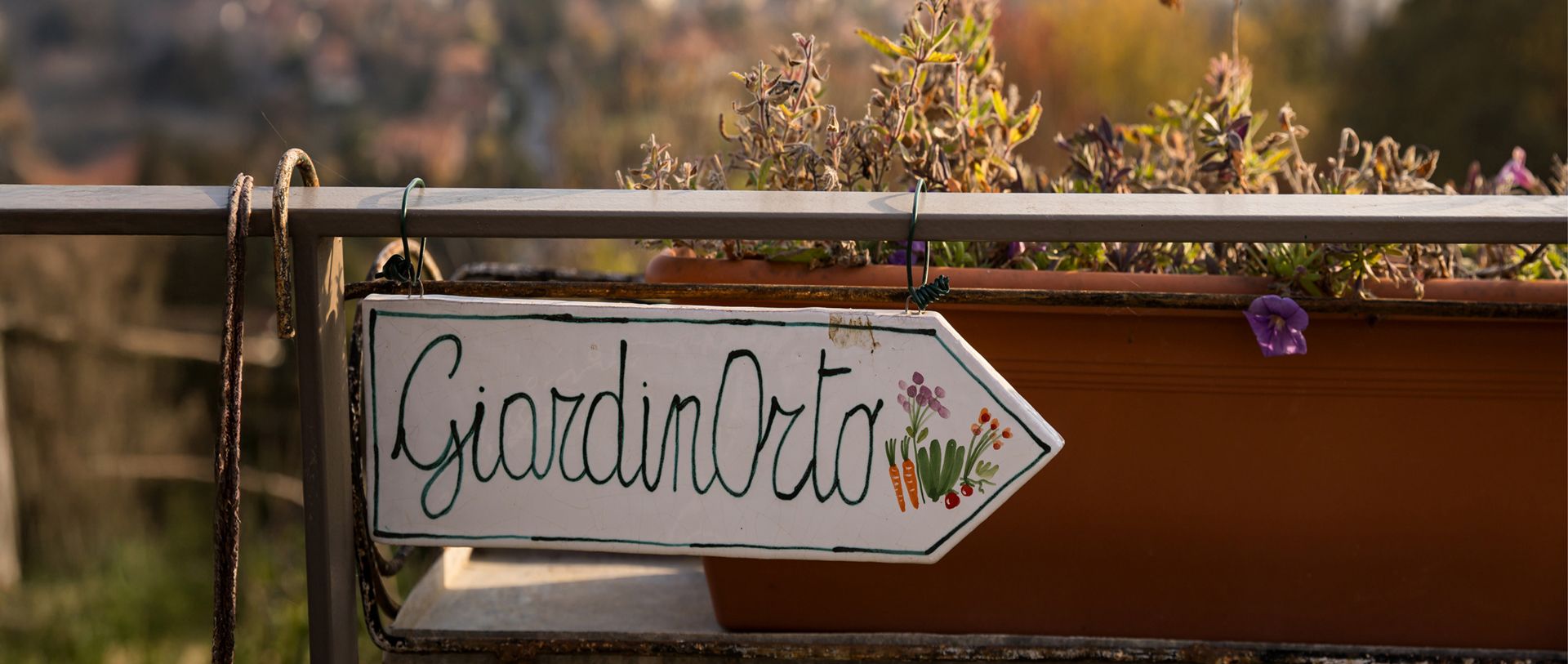 Antonella Beggiato - Coaching per famiglie e adolescenti