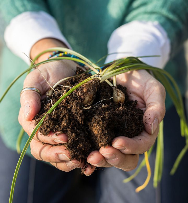 Antonella Beggiato - Coaching per famiglie e adolescenti