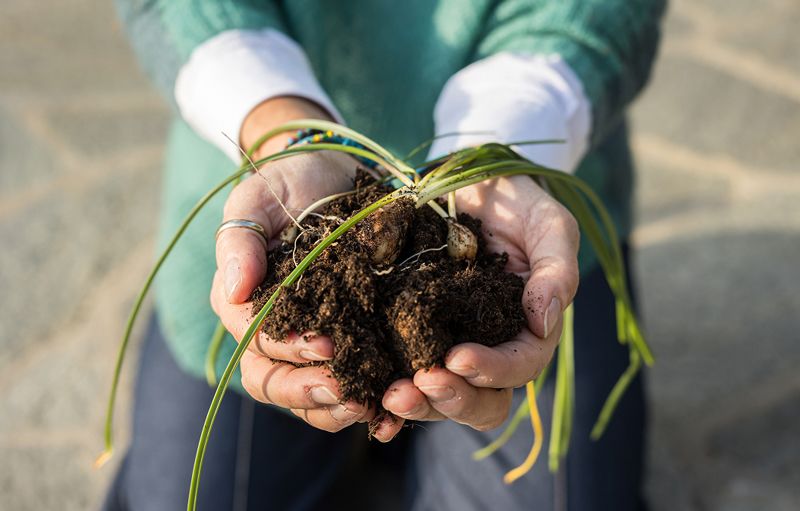Antonella Beggiato - Coaching per famiglie e adolescenti